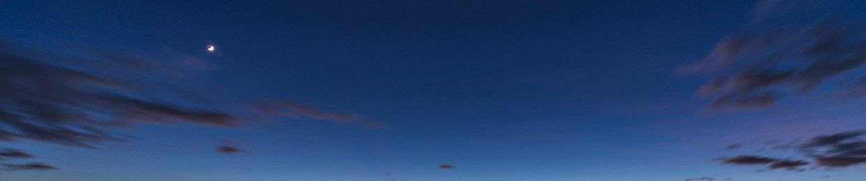 MaxON Davidovsky-Mastovich ☮️