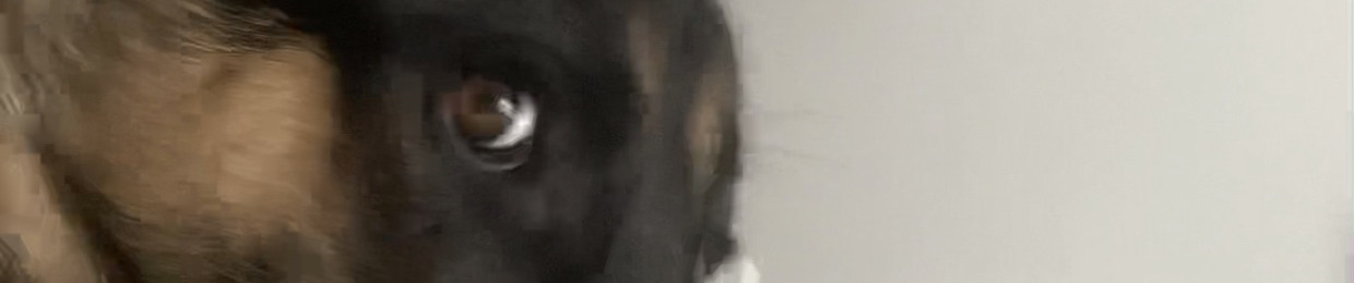 blurito