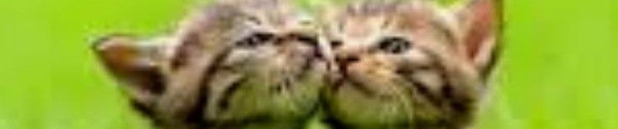 romperextreme123