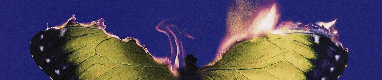 SolarSerener