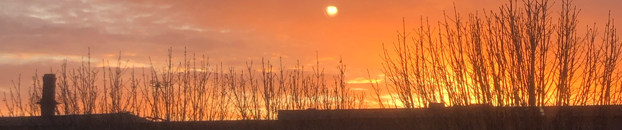 Lyushira ☀️
