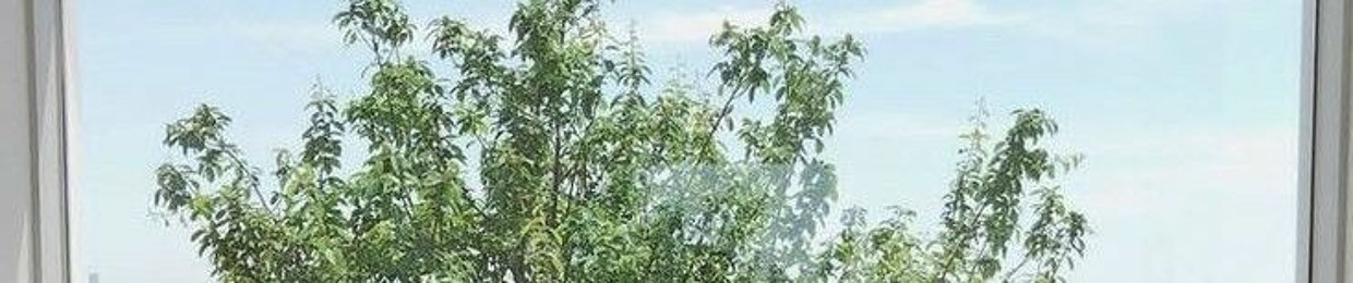 Diệu Phương Nguyễn