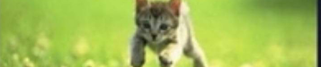 Jakub
