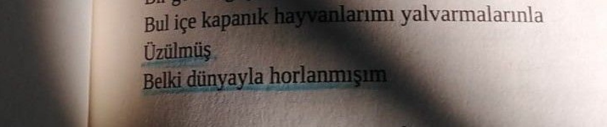 sâhraa