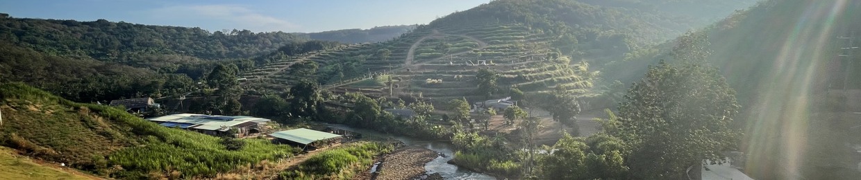 Nguyễn Thái Bảo