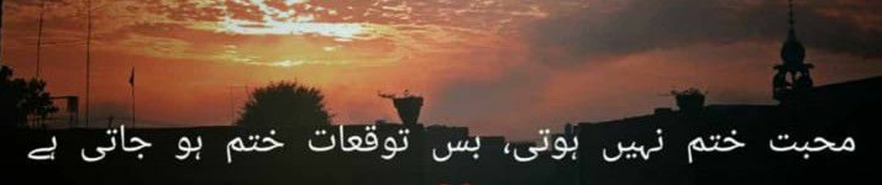 hafsa