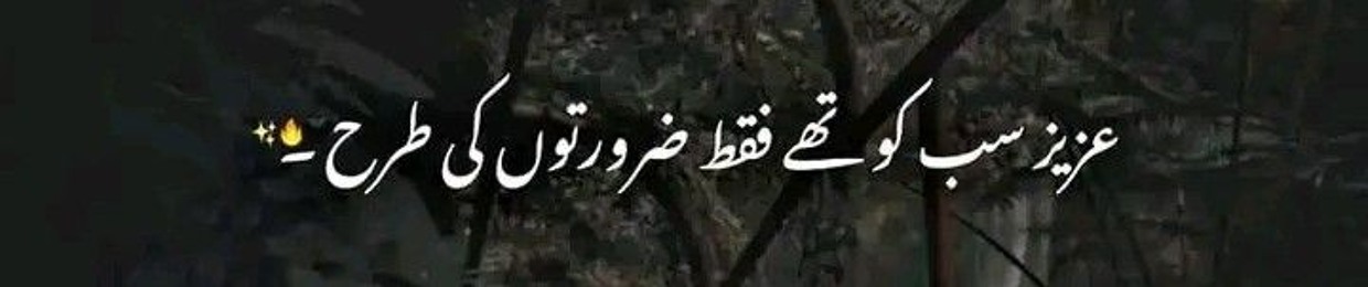 SADAM AADMANI