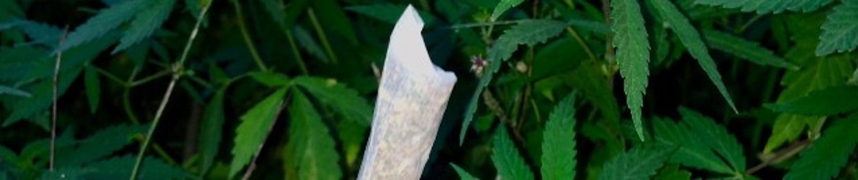 Psyborg aka Chem-@lien