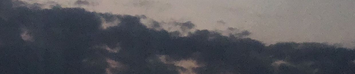 𝐏𝐀𝐑𝐒𝐀