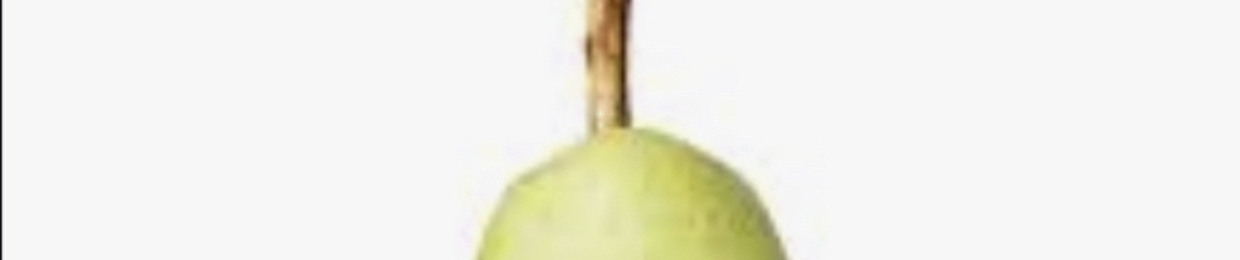 The_Name_Is_Finger123