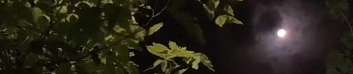 Apoalkasm Mohamed Hassan