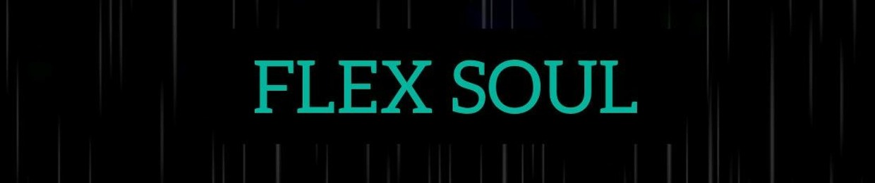 Flex Soul SA