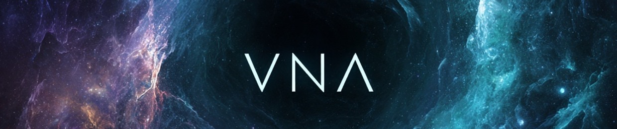 Vinay Patel - VNA
