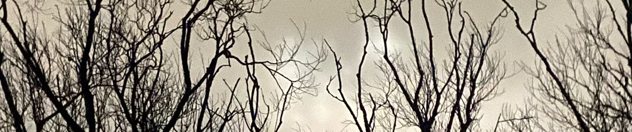 embittered