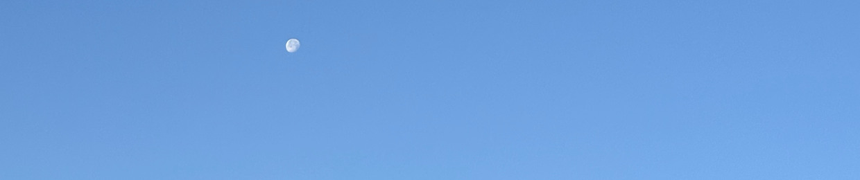 EVKScottie(@evkscottie)