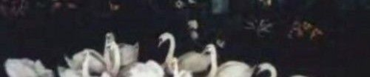 kayemes