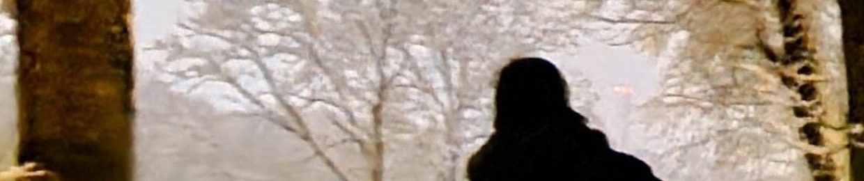 Ricardo Andrés Fontalvo Domínguez