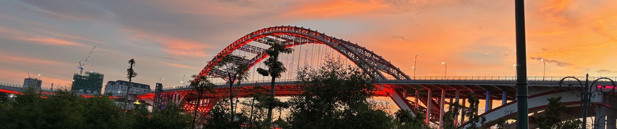 Minh Tâm về đêm