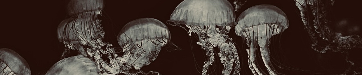 Hydrozoan