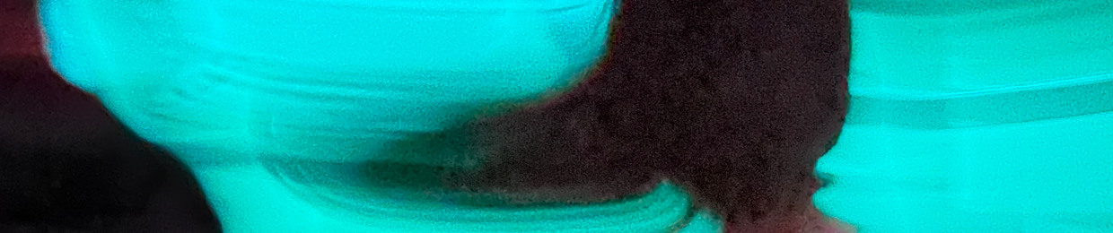 Federico D’Anchini