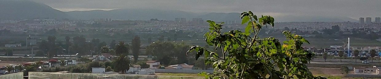El Sujeto