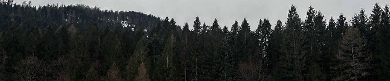 Beleghost