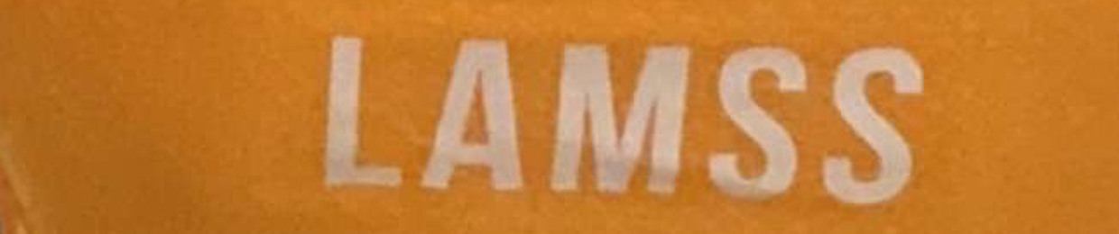 LAMS