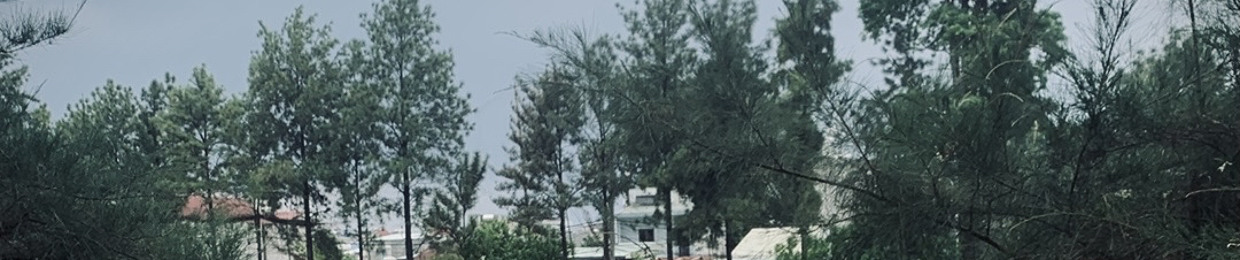 Ng Quoc Danhh
