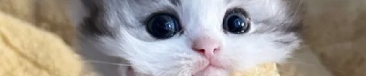 eepydeepy