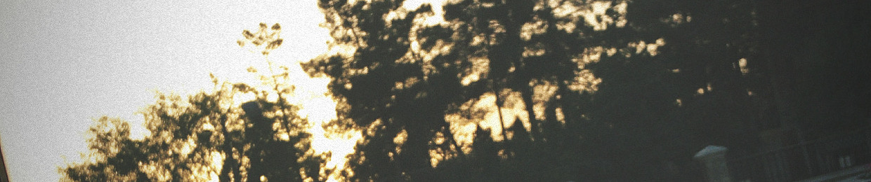 Sohail Bhutta
