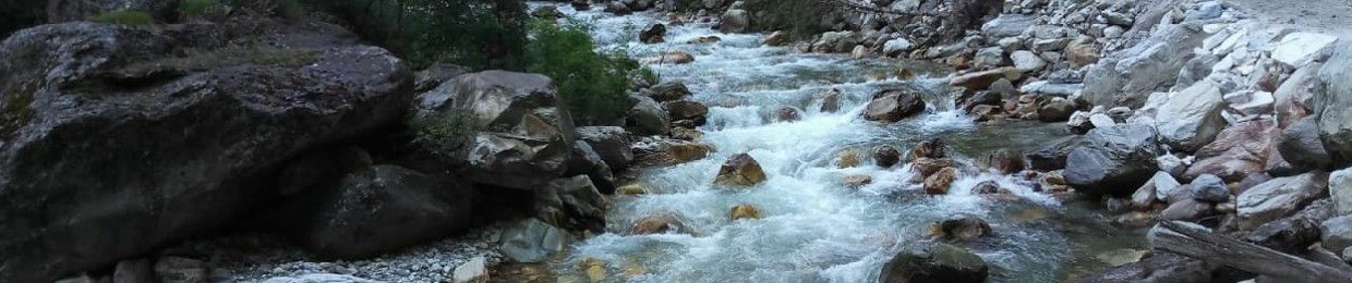 tridentsaha
