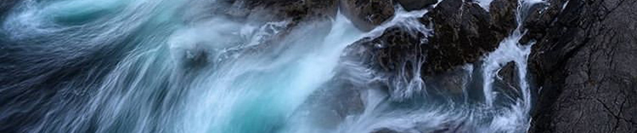 Людмила Зайцева