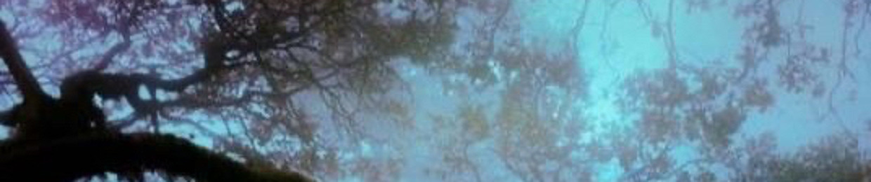 p3rfectblue