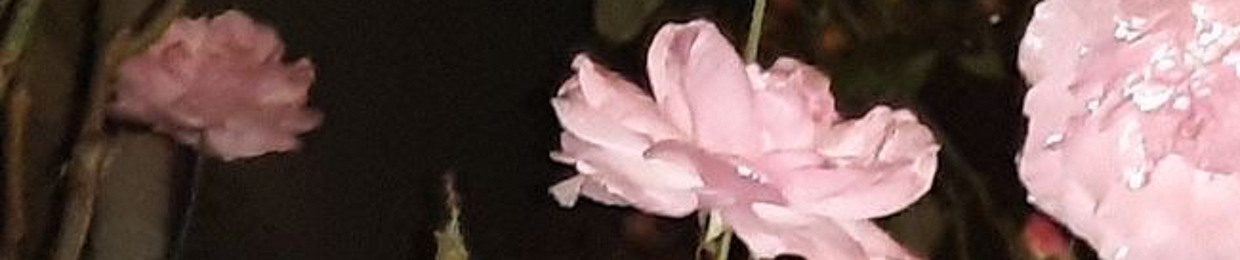 kisya
