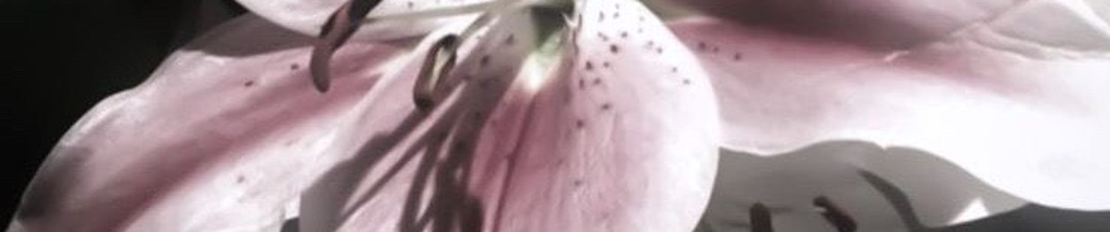 jsidicidjd