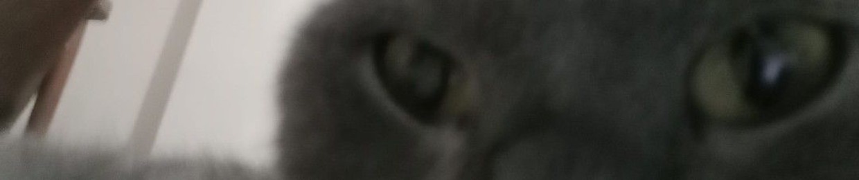 𓂀