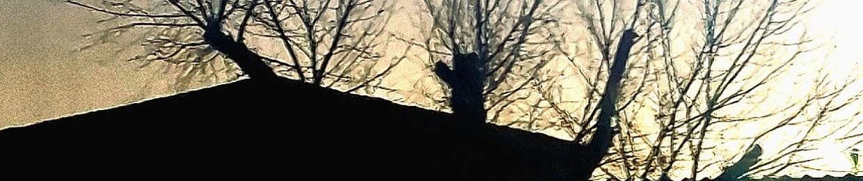 HIRCINE366