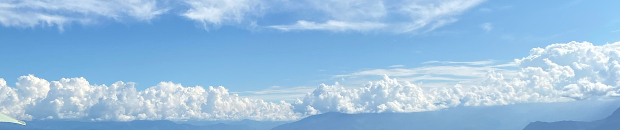 Luis felipe martinez