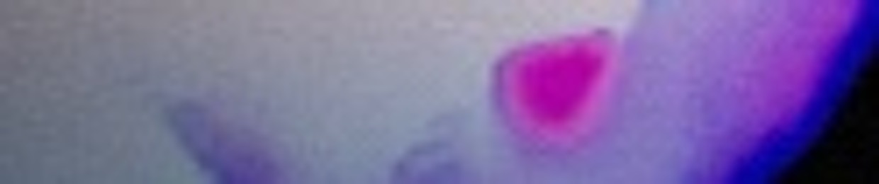 ansho 𓃠