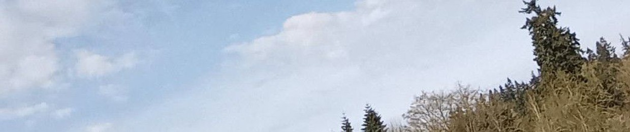 💯🇫🇲Renna kachuta🇫🇲💯