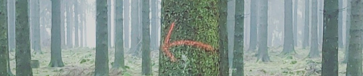 NØS