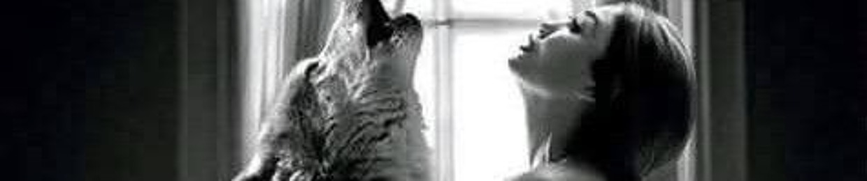 wolfieboy13