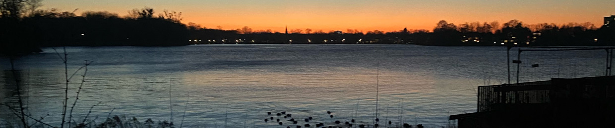 Swan Meer
