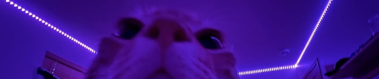 K*NGBR1V (kxngbr1v!)