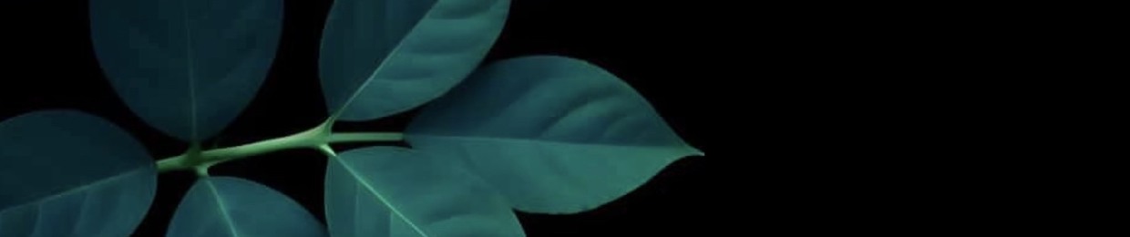 مصطفى العبيد