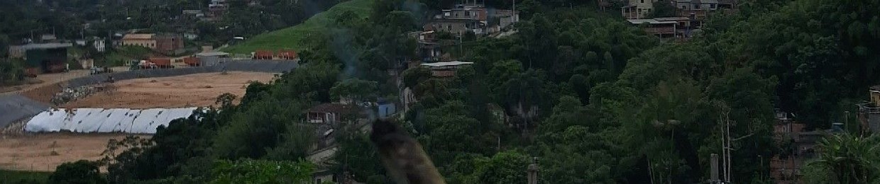 vigarista0706
