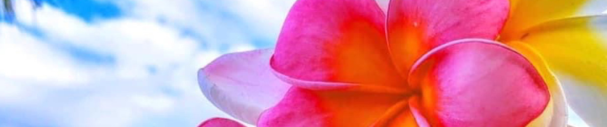🌺Veronica🌺