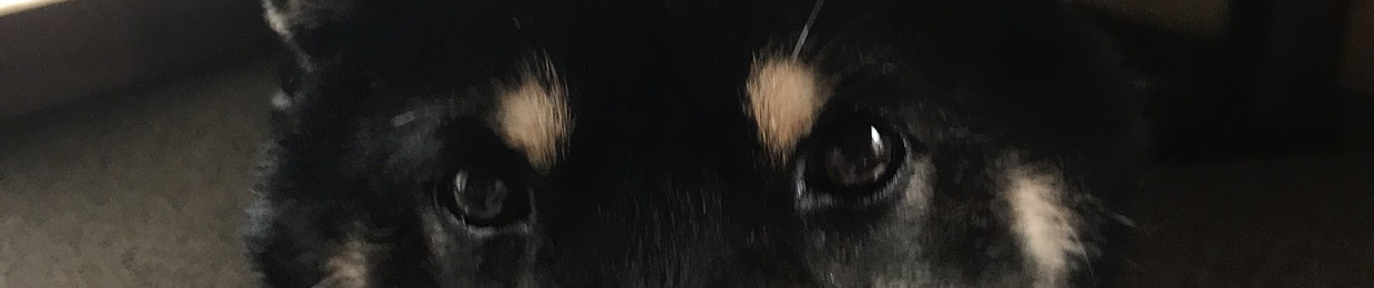 ArkenAvoa