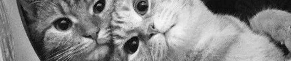 ^ - ^
