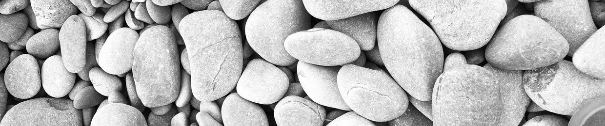 Chris Houghton-Wallace